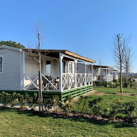 Agriturismo Nonno Mario Fossone d'Adige Εξωτερικό φωτογραφία
